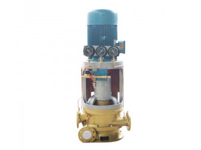 CLH-2 Vertical Double Suction Centrifugal Pumps(OS-PUMP-101)